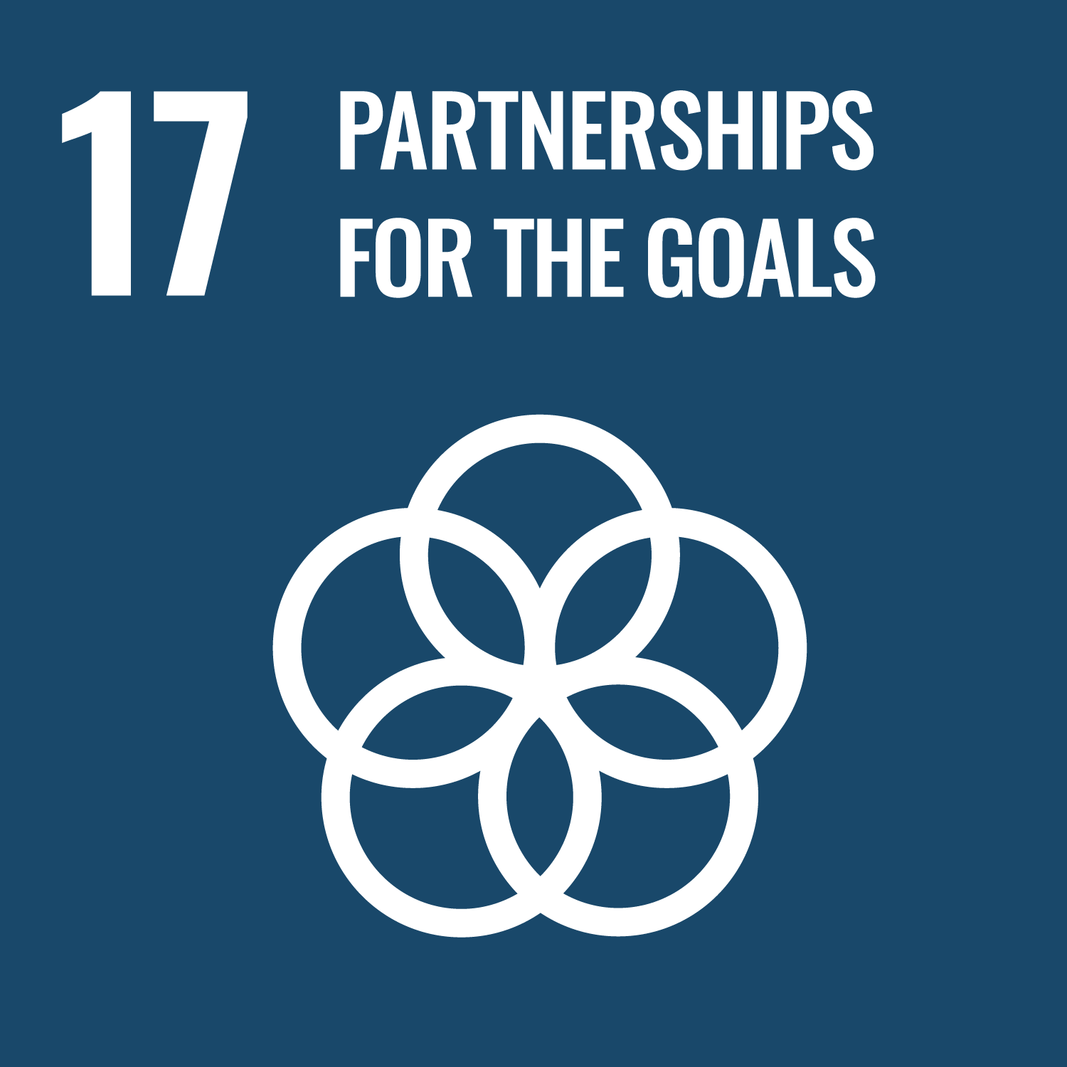 partnerships-for-the-goals