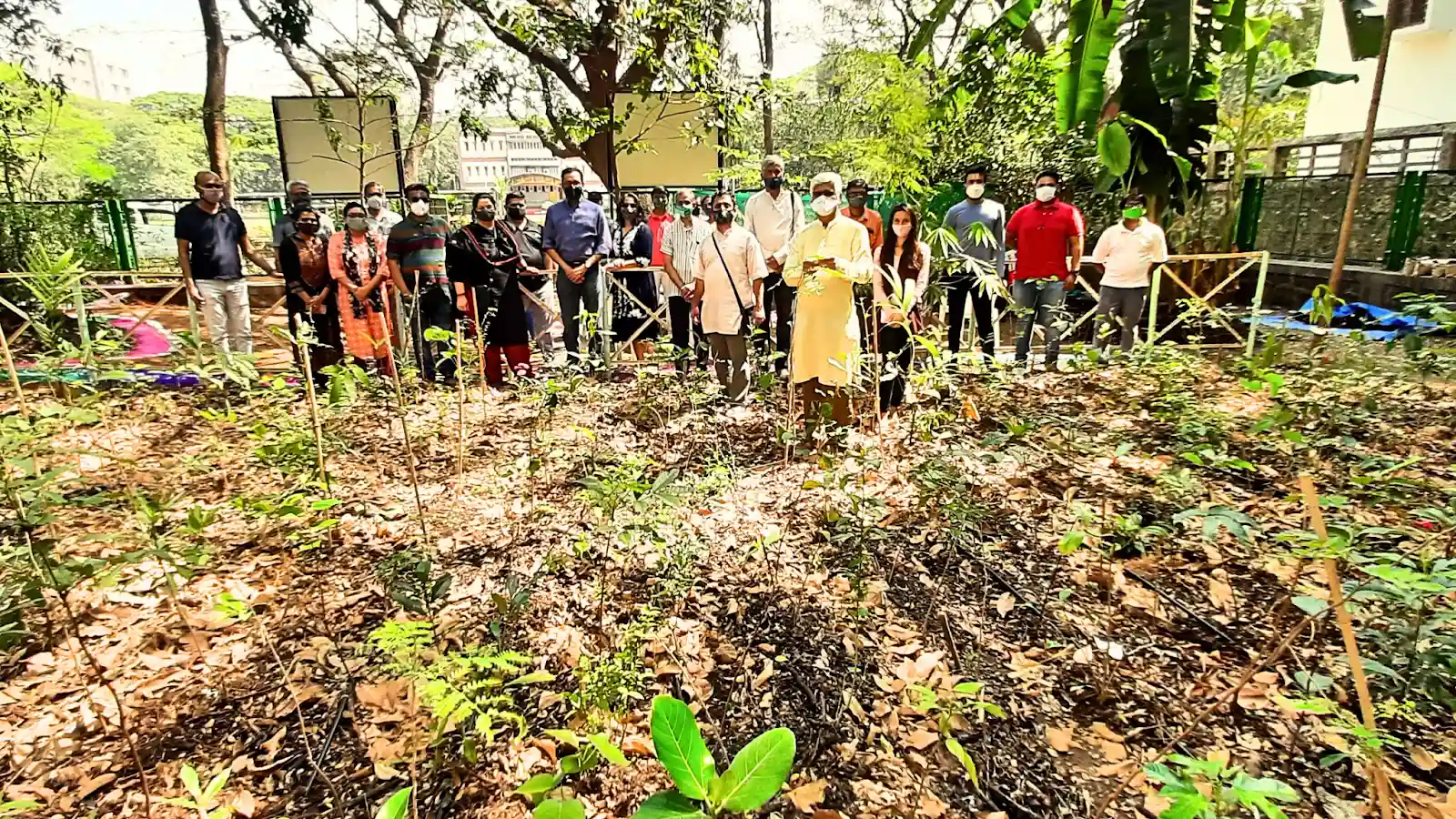 Urban Forestation